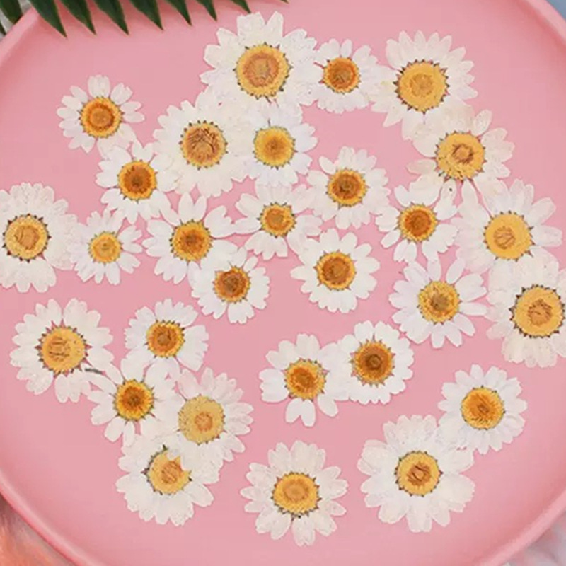 Resin Craft Ideas - 100Pcs Natural White Crystal Chrysanthemum Daisy