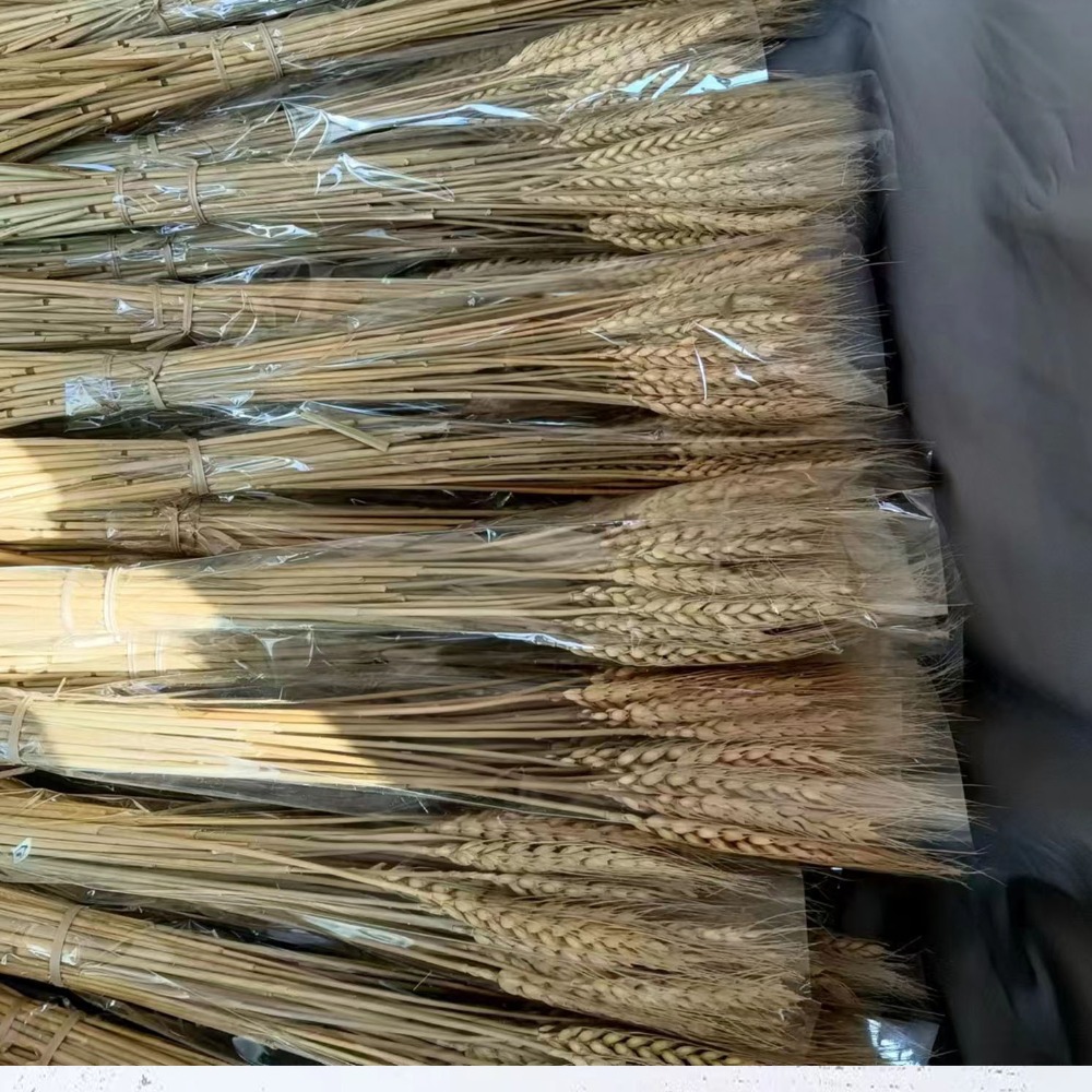 50pcs Artificial Flower Natura - Dried Flower Bulk 评论和价格