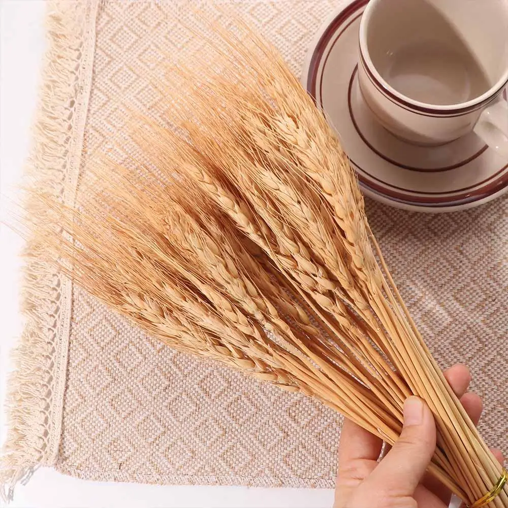 50pcs Artificial Flower Natura - Dried Flower Bulk 评论和价格