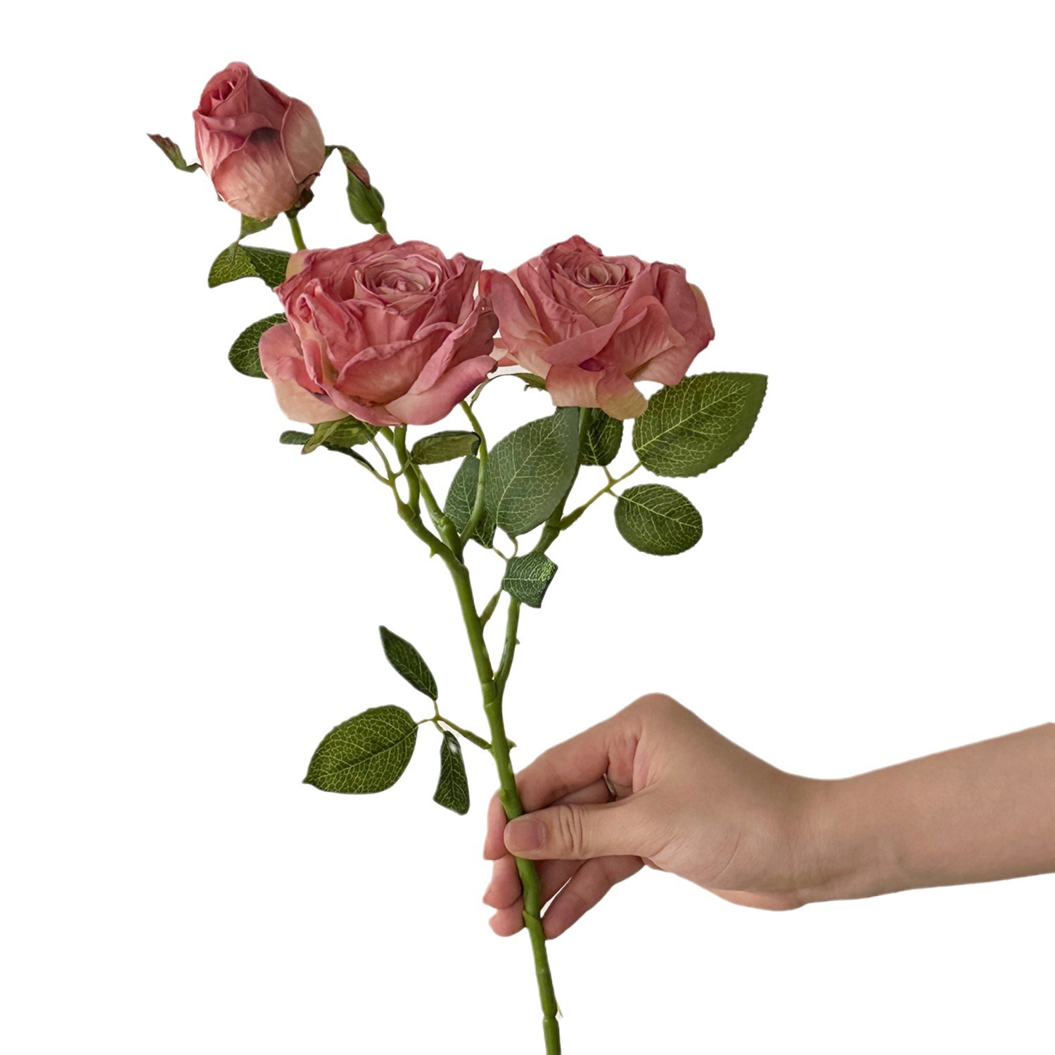 Artificial Flower Retro Decora - Dried Flower Bulk 评论和价格