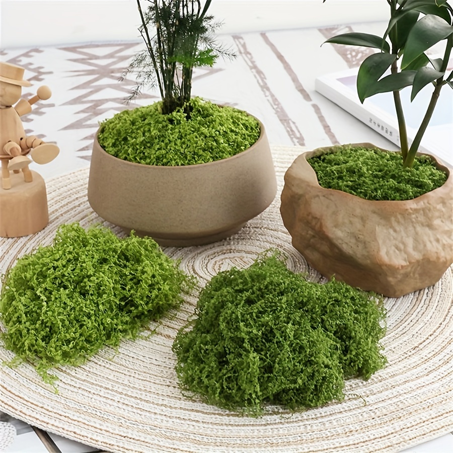 1pack Artificial Fake Moss, 1. - Terrarium Moss Art 评论和价格