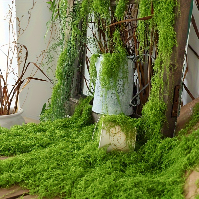 1pack Artificial Fake Moss, 1. - Terrarium Moss Art 评论和价格