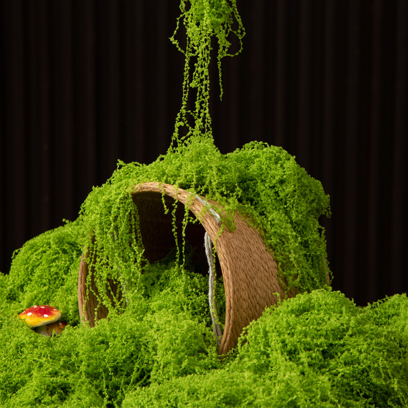 200g Eternal Life Moss DIY Cra - Terrarium Moss Art 评论和价格