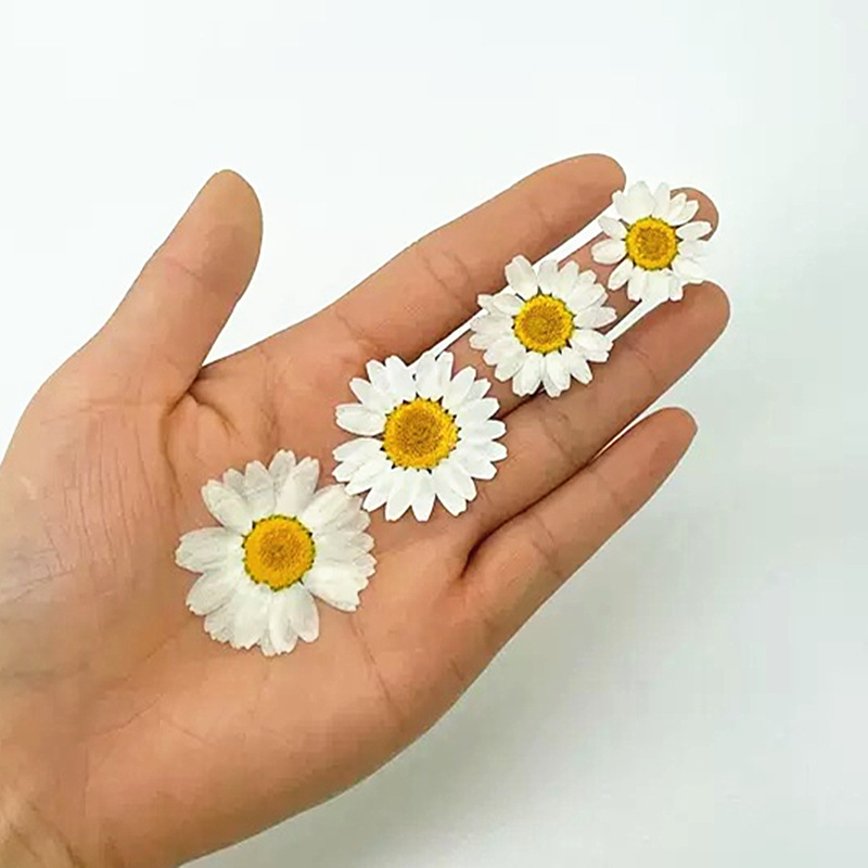 100Pcs Natural White Crystal C - Resin Craft Ideas 评论和价格