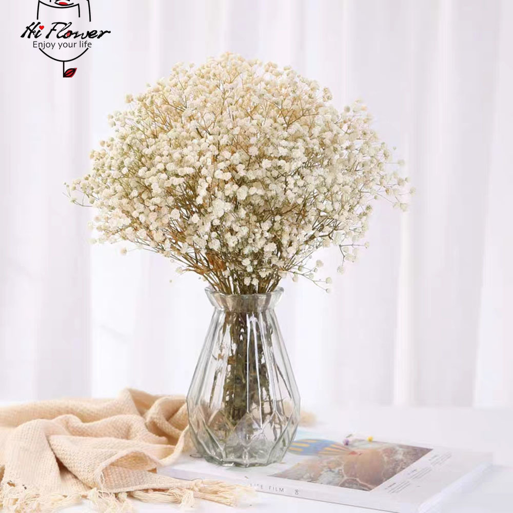 Natural Dried Flowers Preserve - Dried Flower Bulk 评论和价格