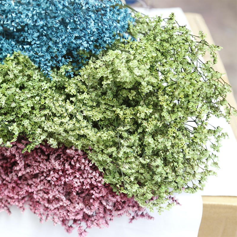Natural Fresh Dried Preserved  - Dried Flower Bulk 评论和价格