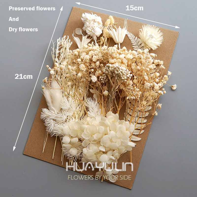 1 Pack Artificial Plants Dried - Flower Preservation Resin 评论和价格