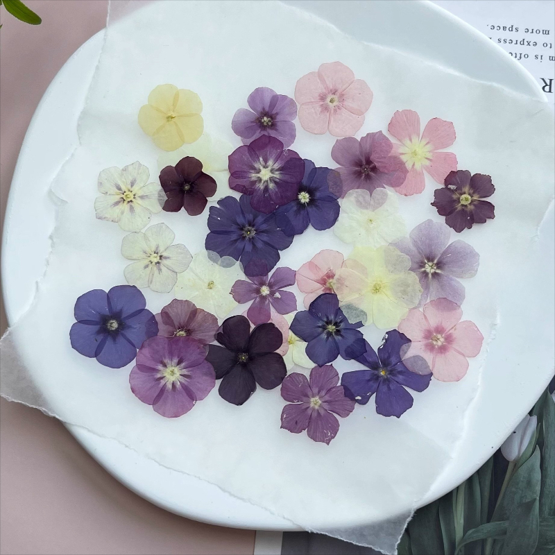12pcs,Semi-Transparent Niche P - Resin Craft Ideas 评论和价格