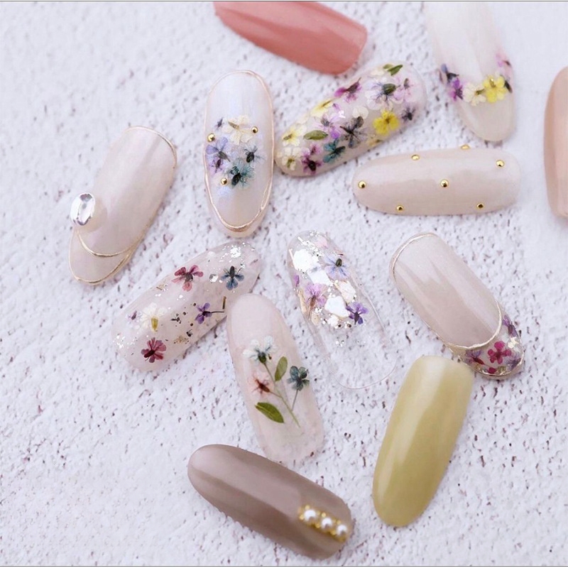 Mixed Small Dried Flowers Nail - Dried Flower Bulk 评论和价格