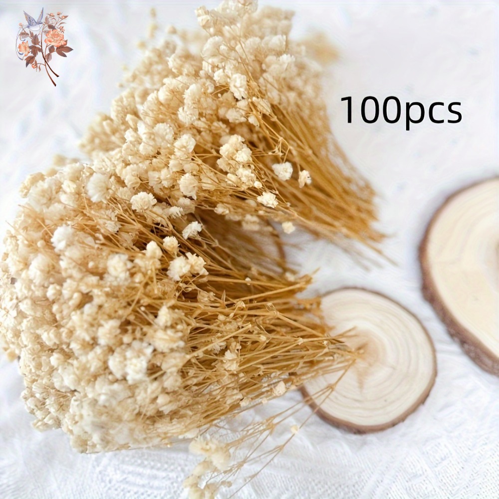 100pcs Mini Dried Baby's Breat - Dried Flower Bulk 评论和价格