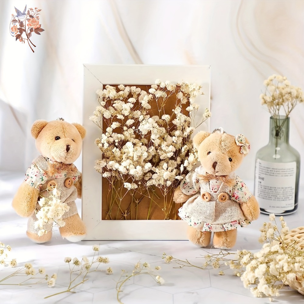 100pcs Mini Dried Baby's Breat - Dried Flower Bulk 评论和价格
