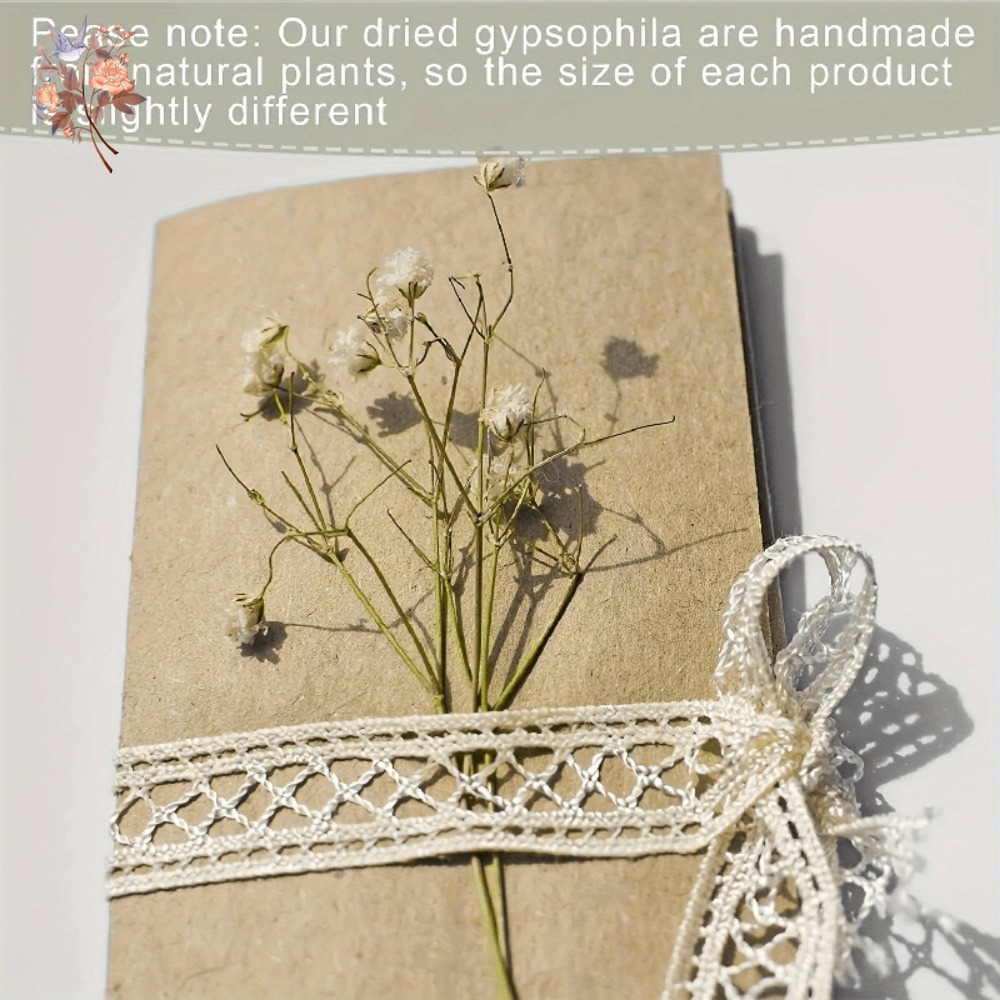 100pcs Mini Dried Baby's Breat - Dried Flower Bulk 评论和价格